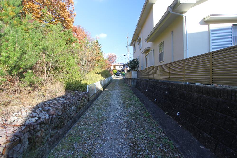 Other local. Local (12 May 2013) Shooting