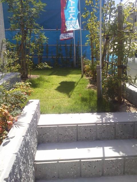 Garden. Garage adjacent garden space