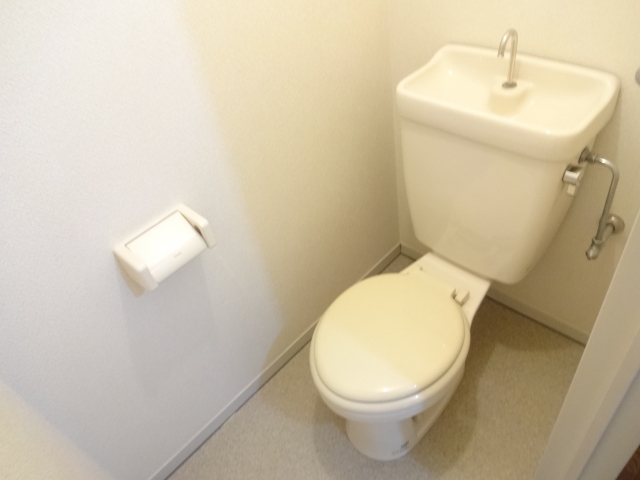 Toilet. Western-style toilet