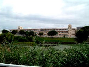 Primary school. 1242m to Mita Municipal Mita elementary school (elementary school)