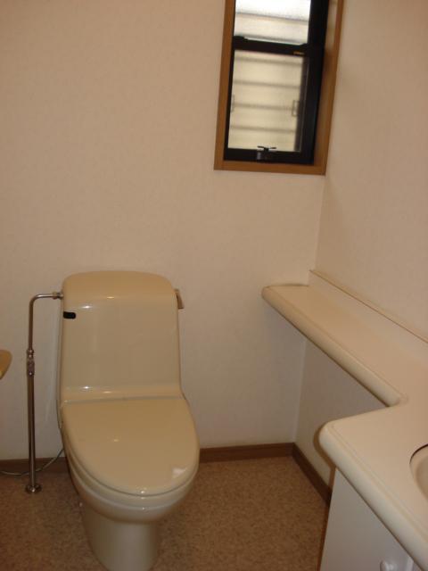 Toilet. Indoor (July 2013) Shooting