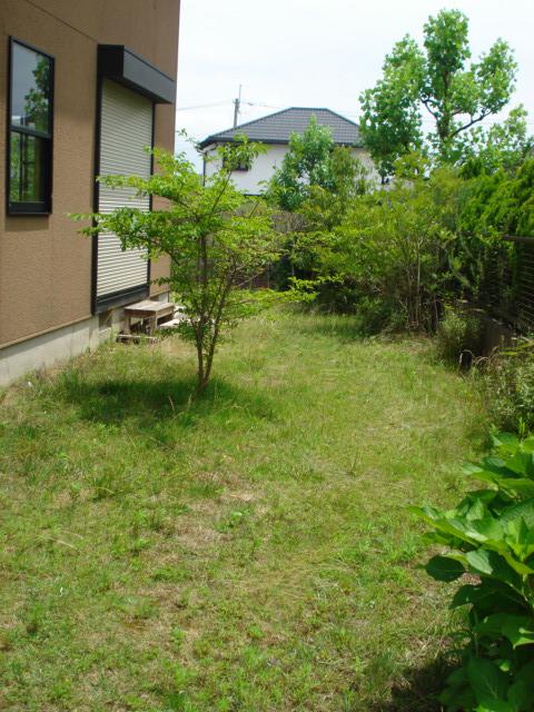 Garden. Local (July 2013) Shooting