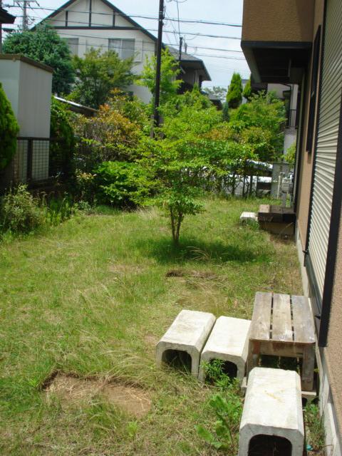 Garden. Local (July 2013) Shooting