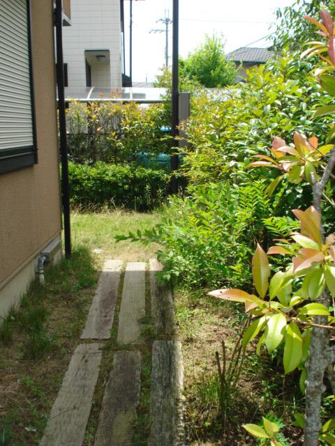 Garden. Local (July 2013) Shooting