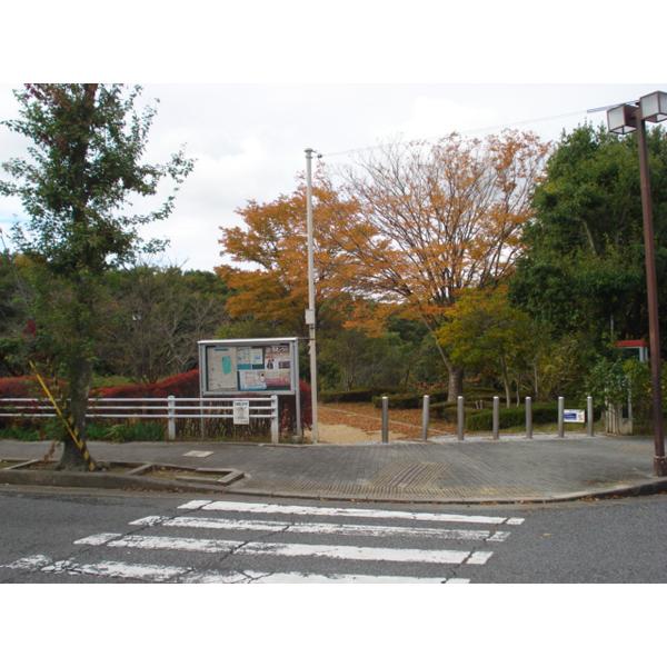 park. Tomogaoka park