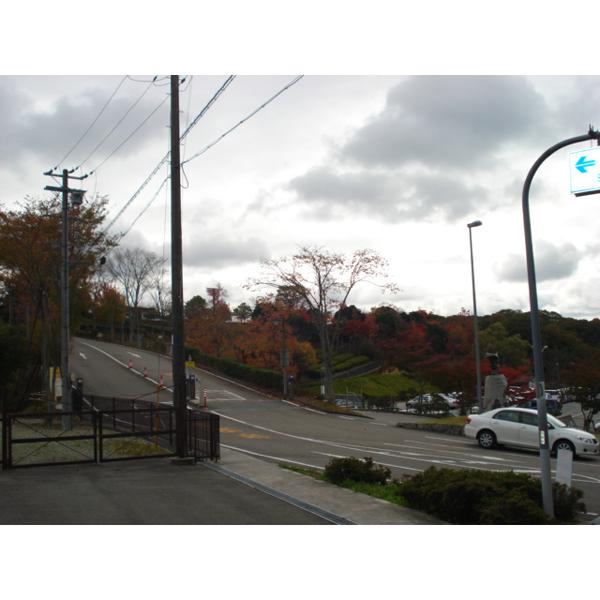 park. Shiroyama Park