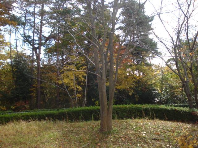 Other room space. View