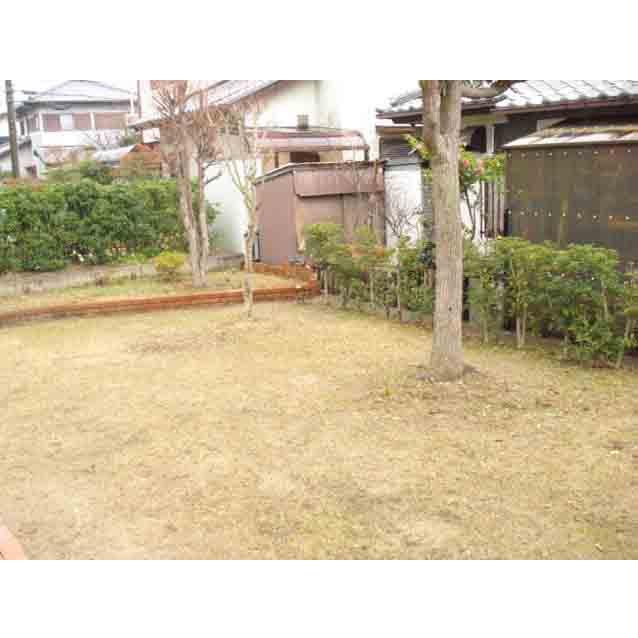 Garden. Indoor (12 May 2013) Shooting