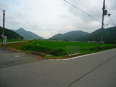 Local photos, including front road. Local (July 2013) Shooting