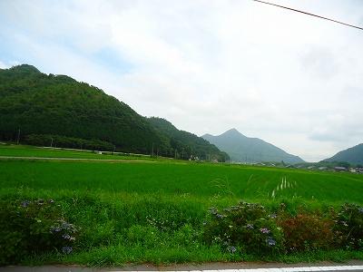 Other local. Local (July 2013) Shooting