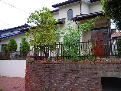 Local appearance photo. Local (11 May 2013) Shooting