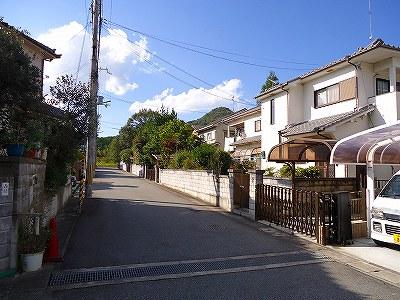 Local photos, including front road. Local (10 May 2013) Shooting