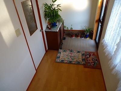 Entrance. Local (11 May 2013) Shooting