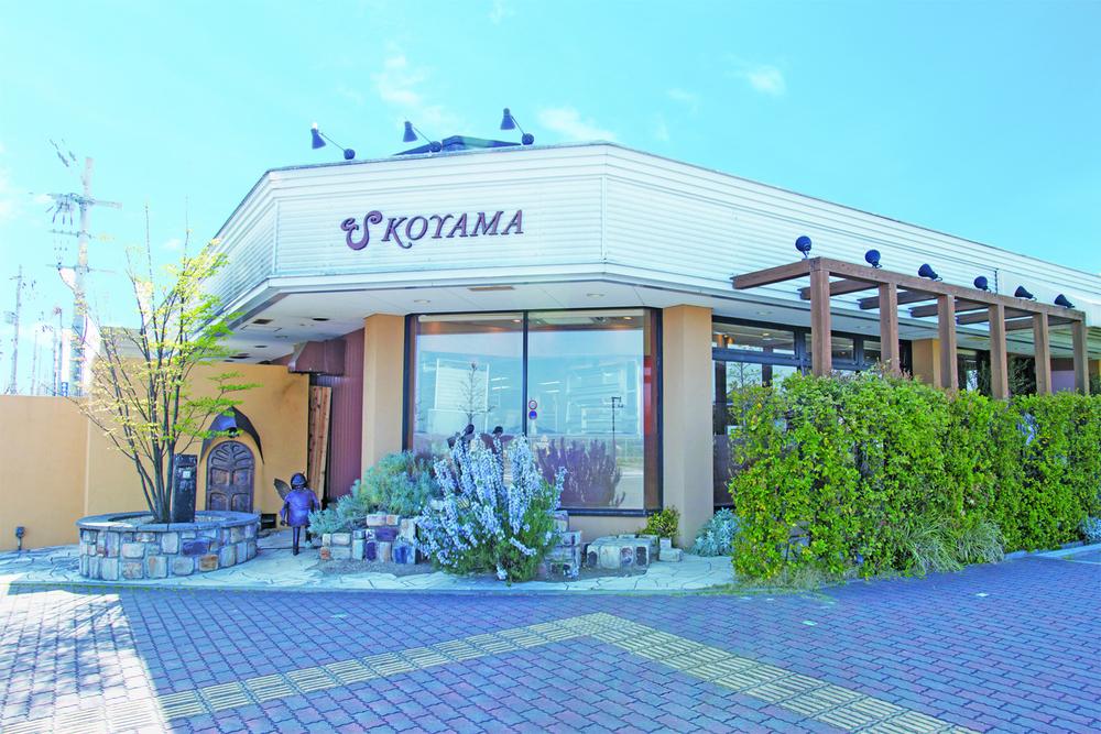 Other Environmental Photo. Esukoyama up to 20m