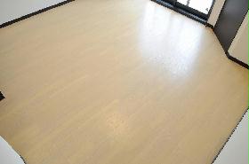 Living and room. Flooring of the room.