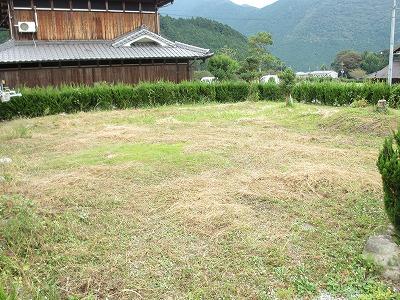 Garden. Local (11 May 2013) Shooting