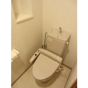 Living and room. Japanese-style room 4.9 tatami