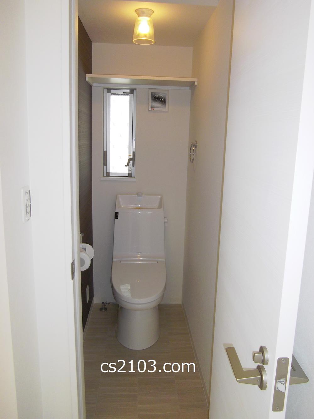 Toilet. With cleaning