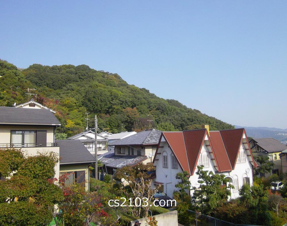 View photos from the dwelling unit. North