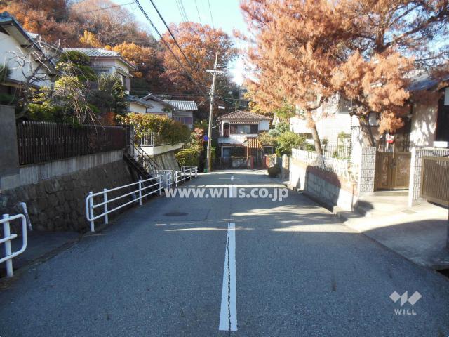 Local photos, including front road