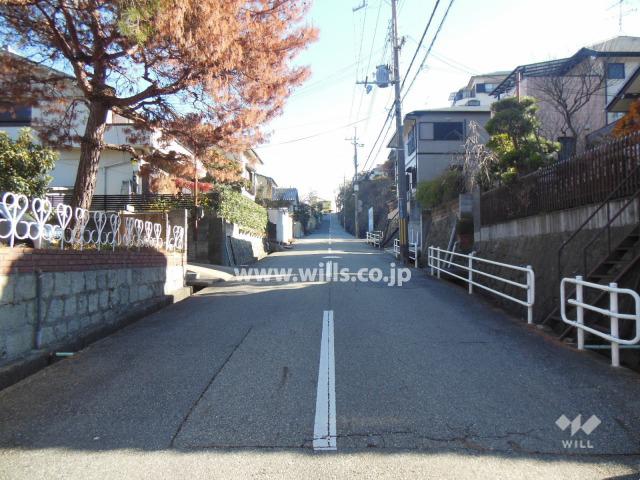 Local photos, including front road