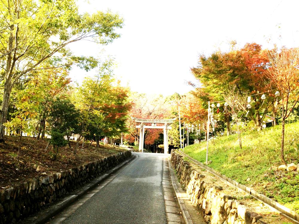 Other. When climbing the stairs of the approach, Please place your hands up in the second of landing. You can the great energy. 