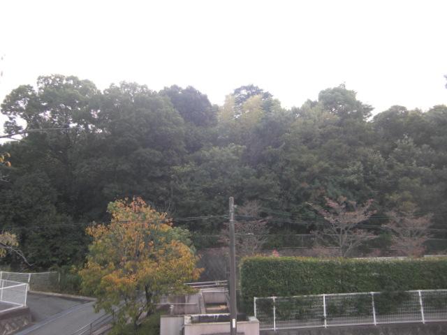 View photos from the dwelling unit. It overlooks the green scenery is on the south side