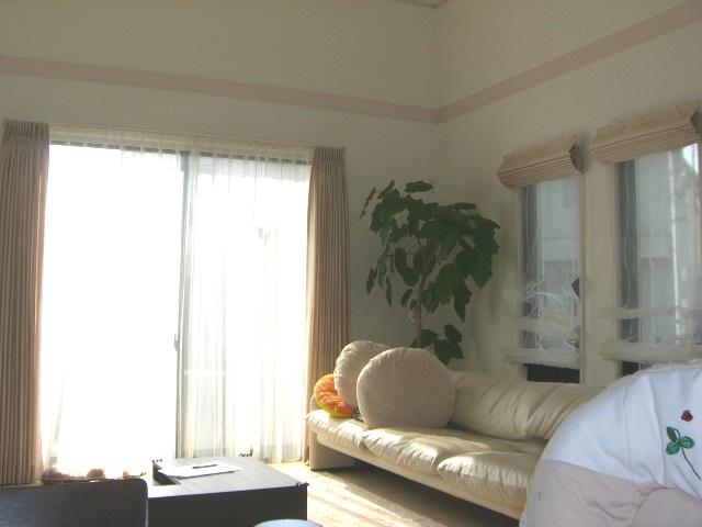 Living. Indoor (11 May 2013) Shooting