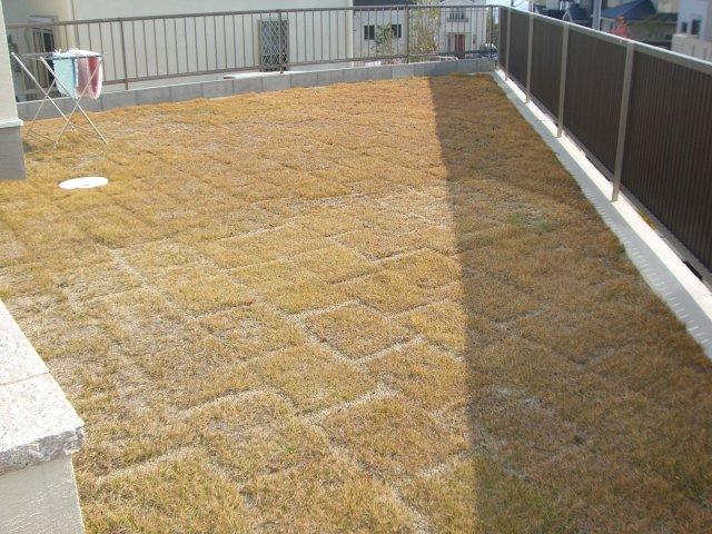 Garden. Local (11 May 2013) Shooting