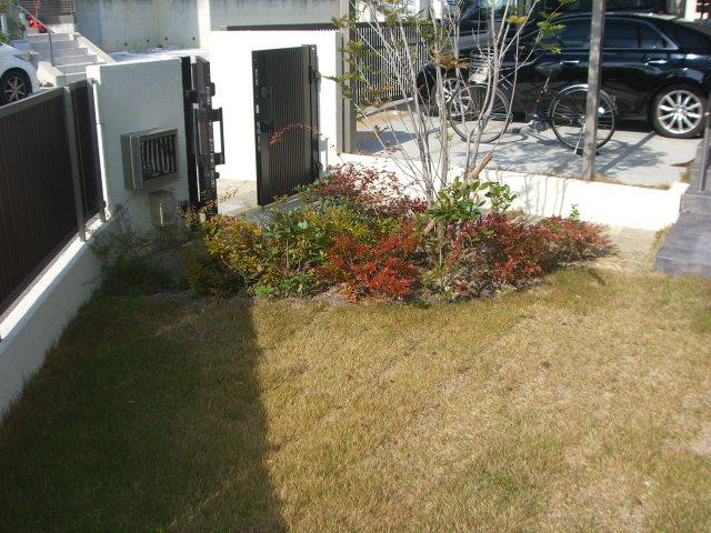 Garden. Local (11 May 2013) Shooting