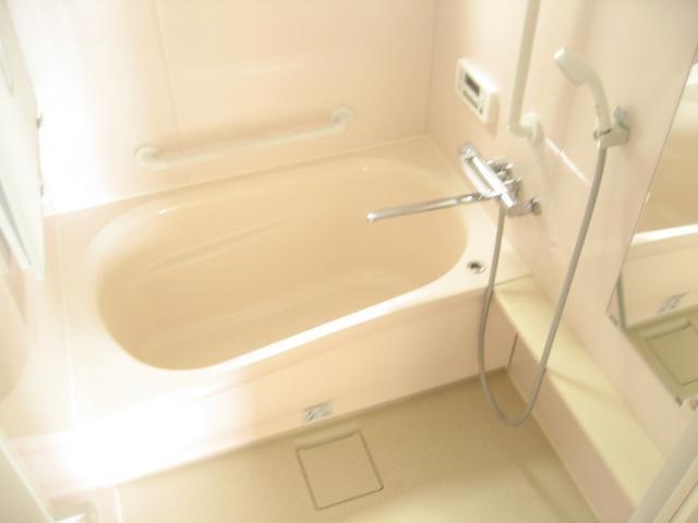 Bathroom. Local (August 2013) Shooting