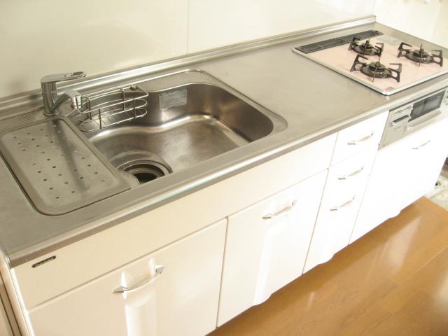 Kitchen. Local (August 2013) Shooting