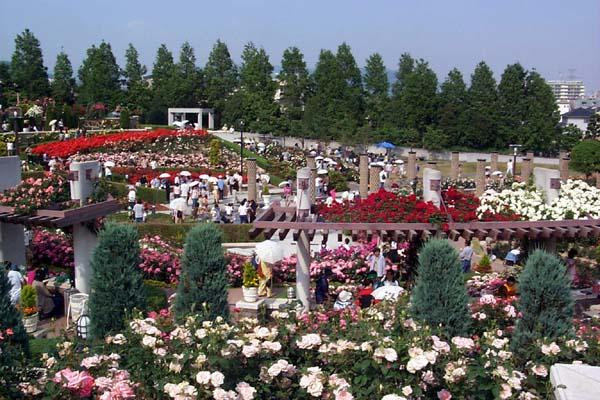 park. 1349m to Aramaki park