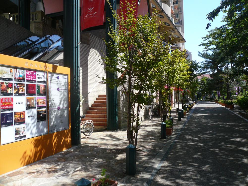 Other. Flower of the road