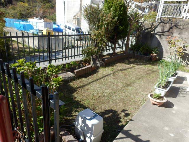 Garden. Local (11 May 2013) Shooting