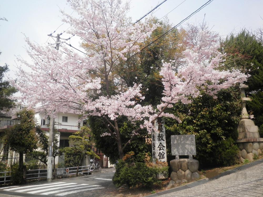 Other. Neighboring landscape (April)