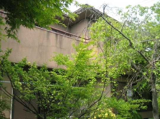 Local appearance photo. Exterior Photos