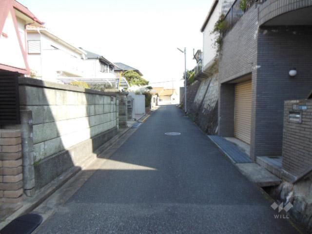 Local photos, including front road. Local (April 2012) shooting