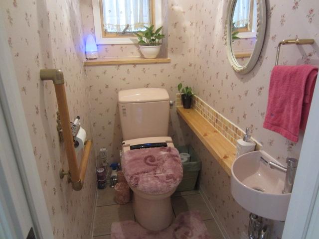 Toilet. Indoor (September 2013) Shooting