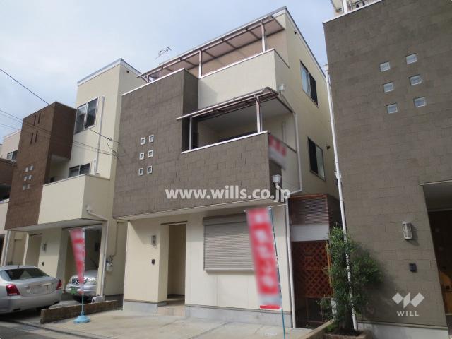 Local appearance photo. From the southeast side