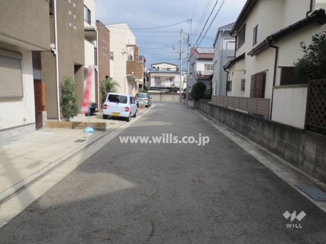 Local photos, including front road. South front road (from the west)