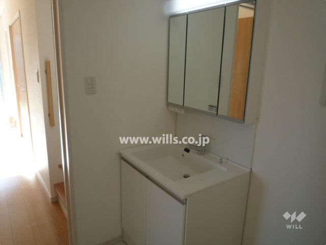 Wash basin, toilet. Wash