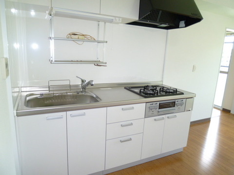 Kitchen. System kitchen new