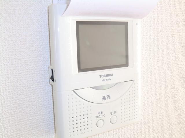 Security equipment. Local photos (color monitor intercom)