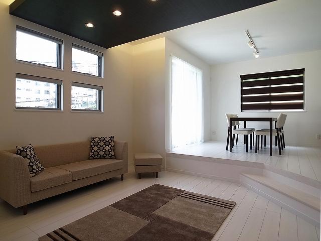 Living. Indoor (June 2013) Shooting