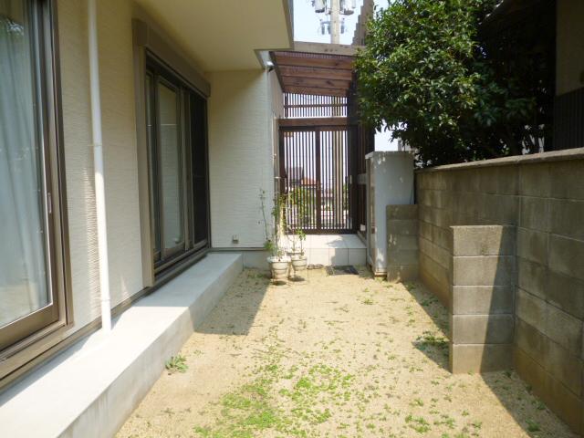 Garden. The south side of the garden