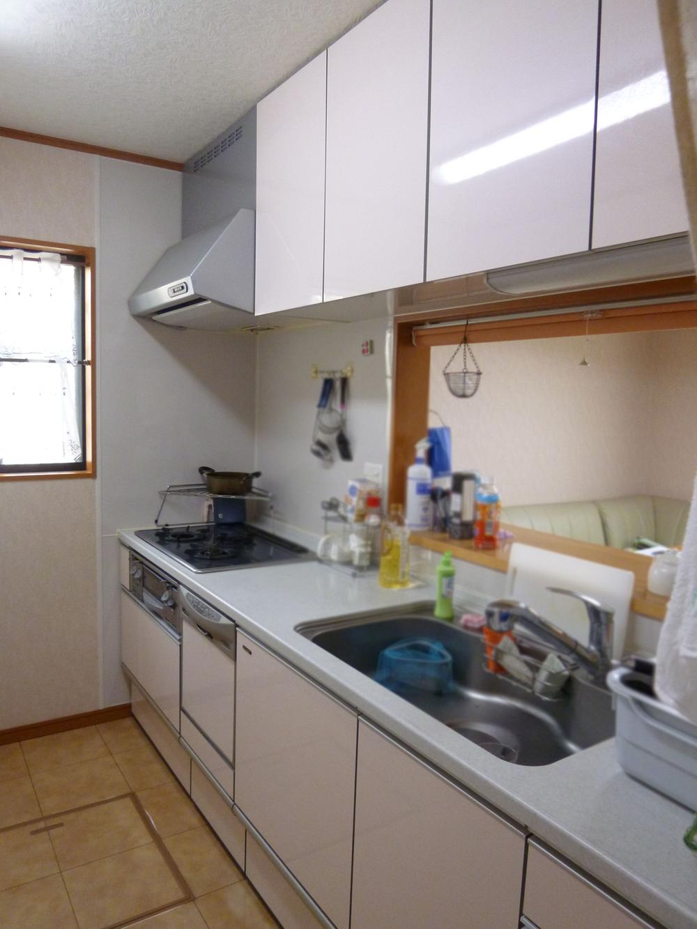 Kitchen. Indoor (11 May 2013) Shooting