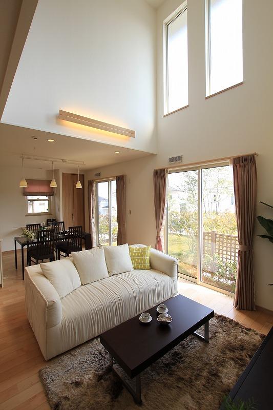 Living. Large atrium and daylighting. Incorporated a warm light on the south-facing living room.