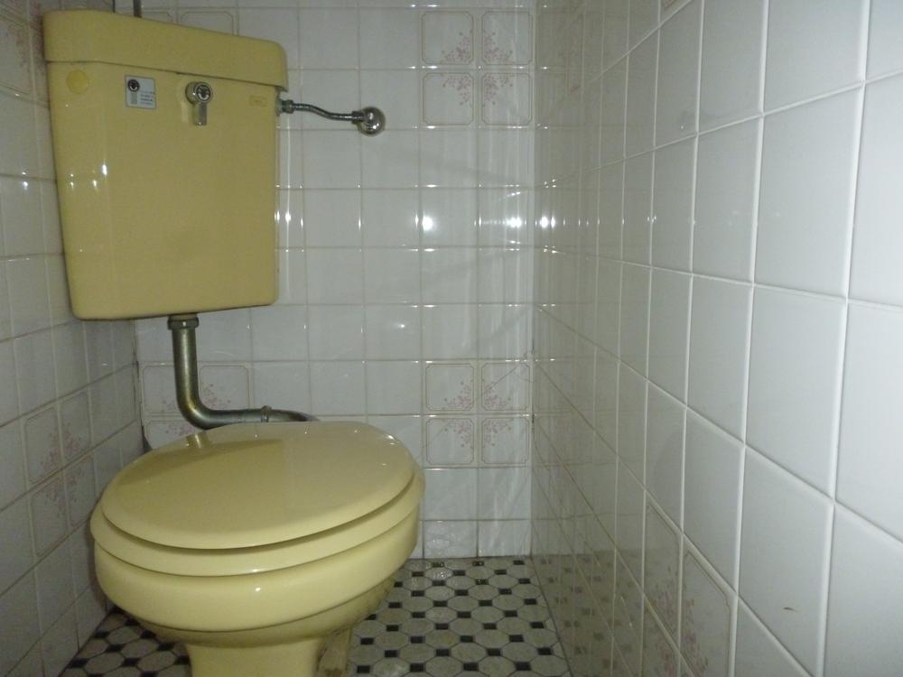 Toilet. Already disinfection