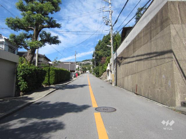 Local photos, including front road. Property of the southwest side of the road (from the southeast side)